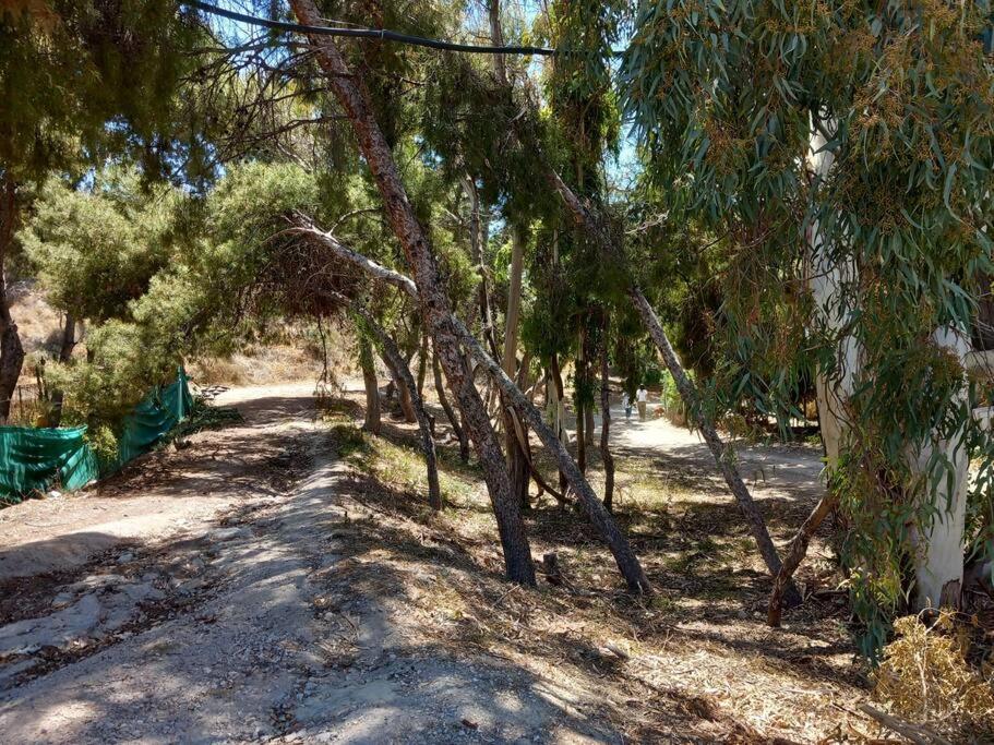 Acogedor Bungalow Adosado El Campello Kültér fotó